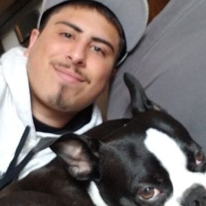 Meet your Posher, Maurice